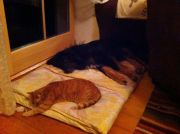 Mit Maxi wird immer geteilt